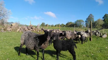 IMG 20230518 080154.