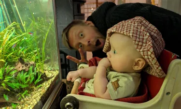 PXL 20241214 161845141.