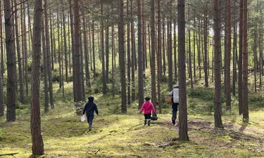 2000X1500 Skog.