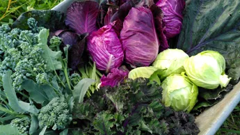 IMG 20230912 192024.