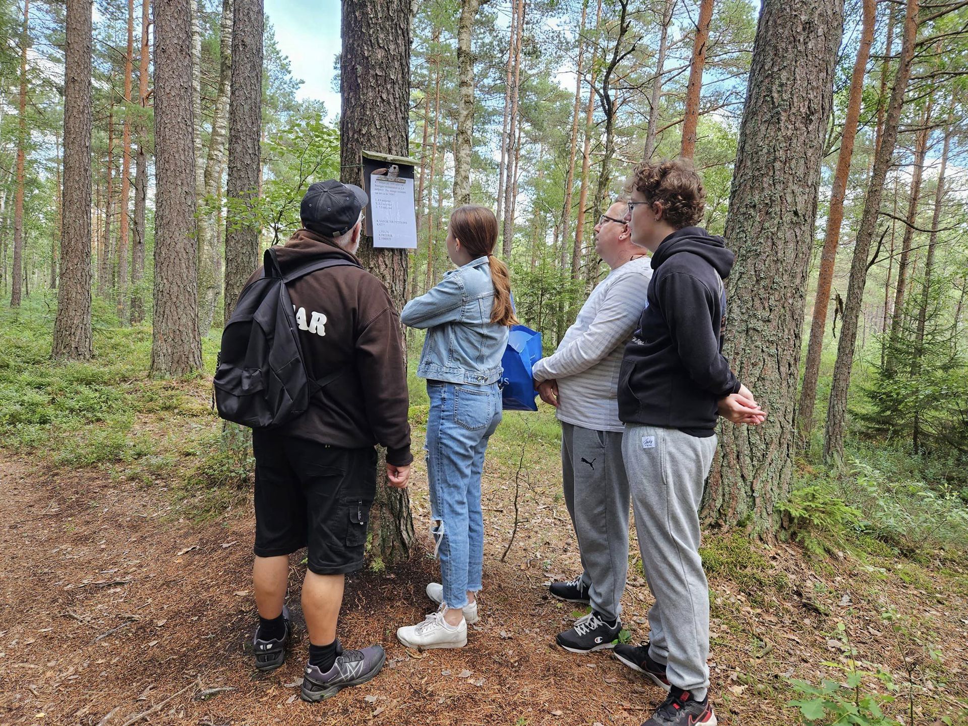 Familjtipspromenadiskog.