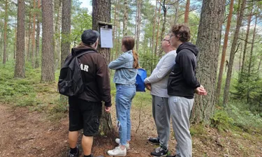 Familjtipspromenadiskog.