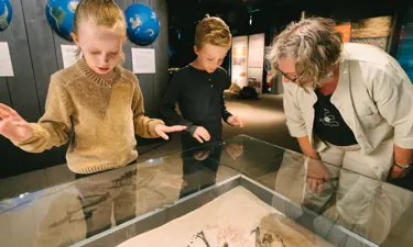 Falbygdens Museum 15.