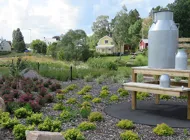 Fåglum Vid Nossan 770X406px.