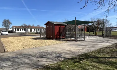 IMG 0631.
