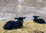 IMG 20230420 202441.