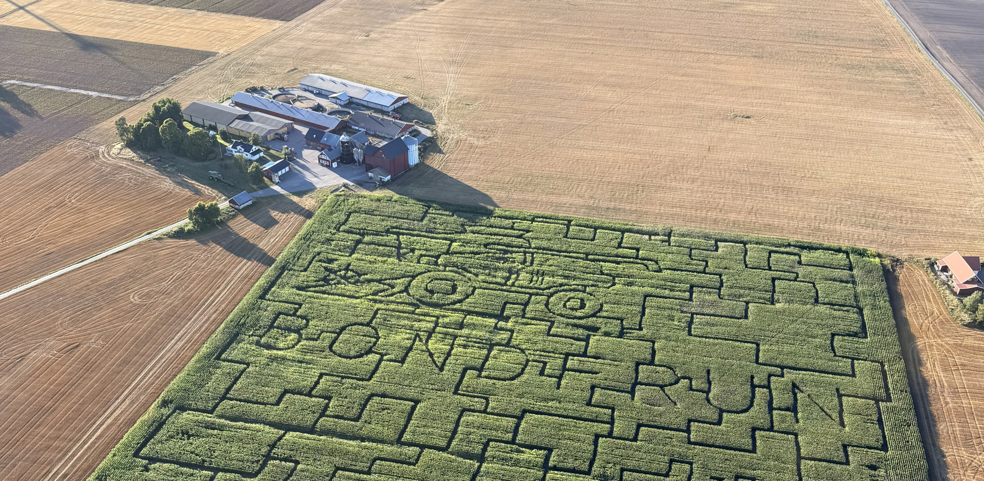 IMG 3305.JPEG Majslabyrinten 2025 Svante (1).