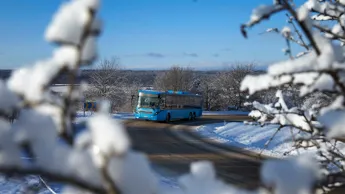 VT 208 Vinter TH 21 Stor (982253).