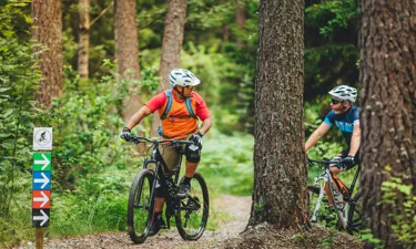 Mountainbike 190703 18.
