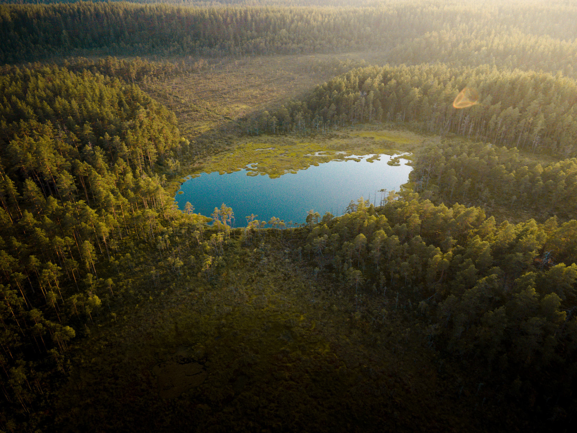 49708633 Dronarvy Over Ensamt Skogstjarn.