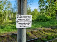 20250527 080919.