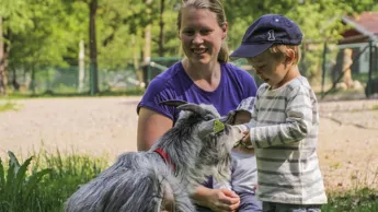 Minizoo 20180517 Tobiasolsson.