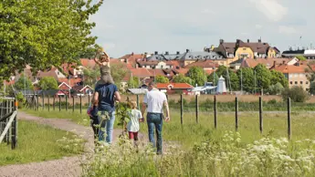 Ekudden04 (583295).