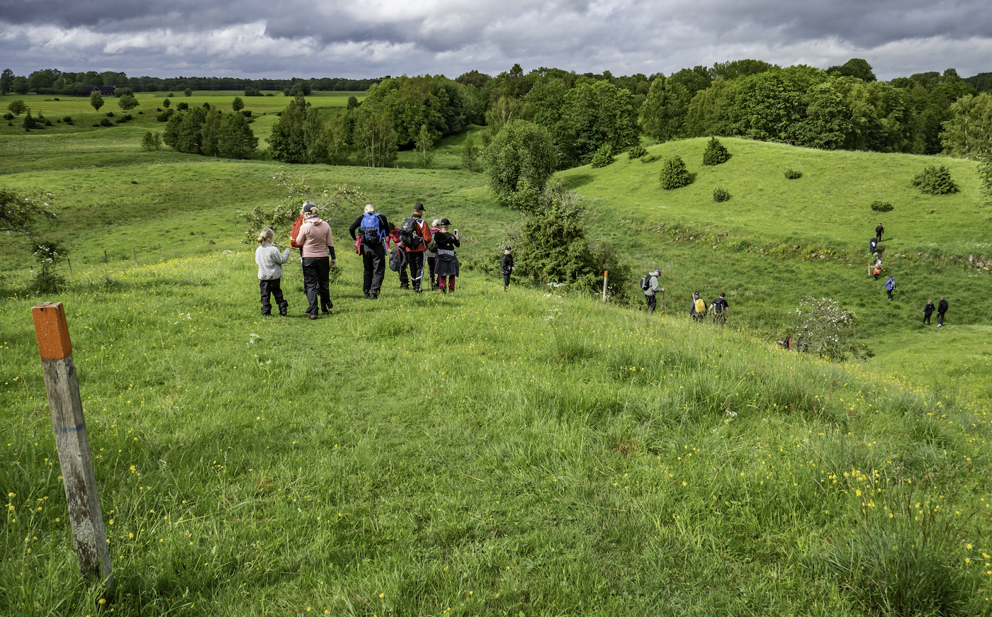 Matvandring Kamelandskap.