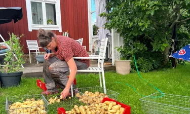 Cb73b5c2 6869 4863 9Acf D7480d1cfd1a.