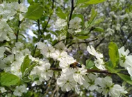 IMG 20220520 173718.