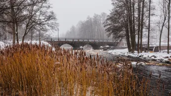 Tibro Åleden Dimma Vinter Tidanån Kvarnbron 220203 @Tobias Olsson Shauto 0W4A7555 Kopiera.