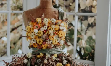 Emeliekarlssonlandensleepingbeauty.