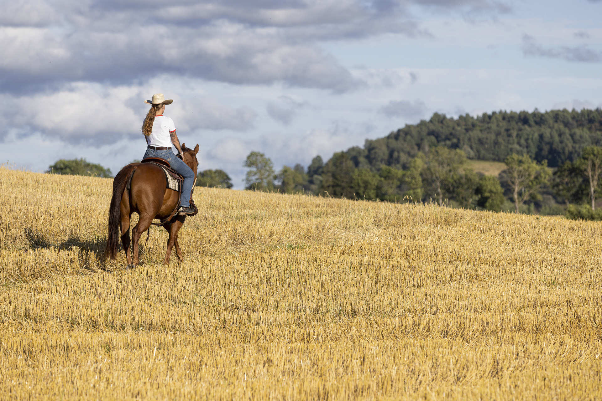 Platsvarumarke Falkoping Foto Tuana 240816 702.