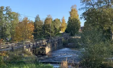 Bron I Forshall 2.