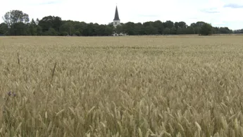 Essunga Kyrka (6) (3).