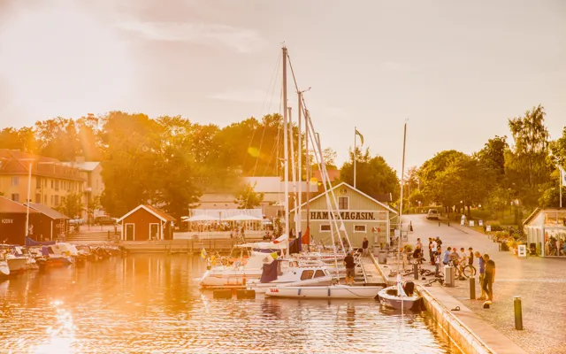 140806 185120 19995 (1).