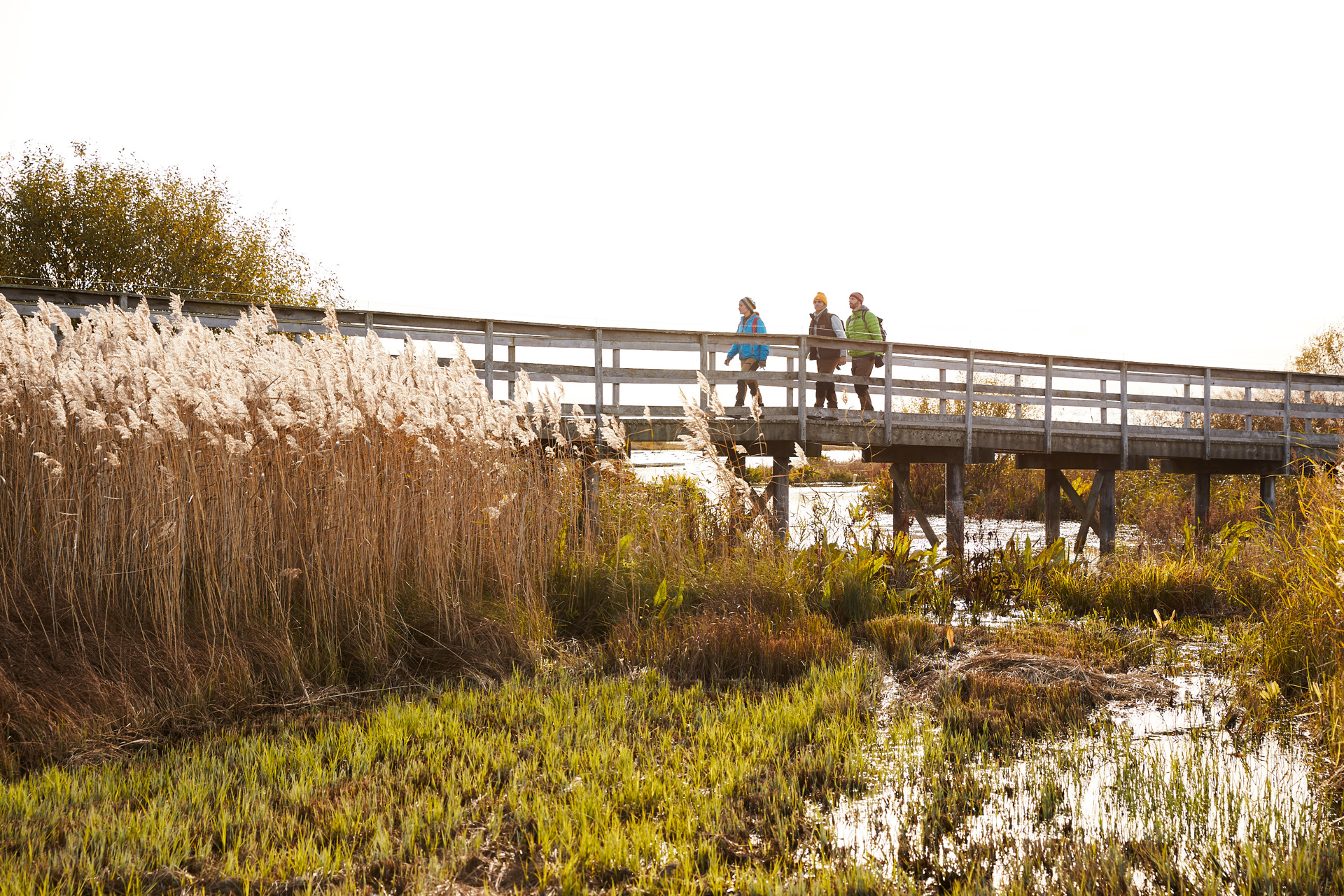 Hornborgasjon 230 Photo Cred Jonas Ingman.