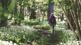 Platåbergens Unesco globala Geopark: Storslagna upplevelser i ett ...