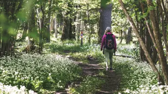 Platåbergens Geopark 2509.