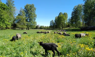 IMG 20220529 101340.